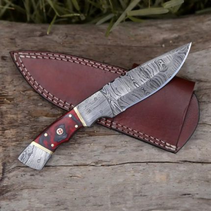 8.5” Hand Forged Damascus Steel Full Tang Skinner Knife - Red Wood Handle - H 021